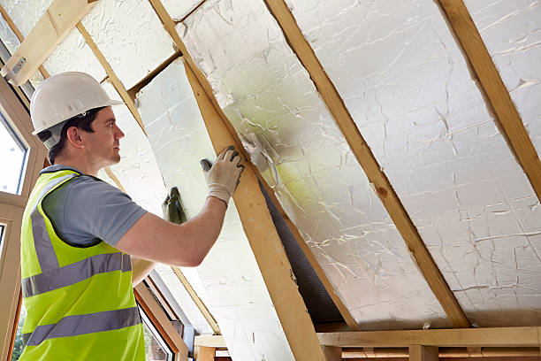 Best Insulation Maintenance and Repair in South Pasadena, FL
