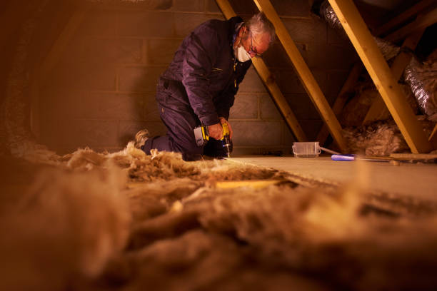 Best Residential Insulation in South Pasadena, FL